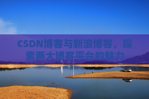 CSDN博客与新浪博客，探索两大博客平台的魅力